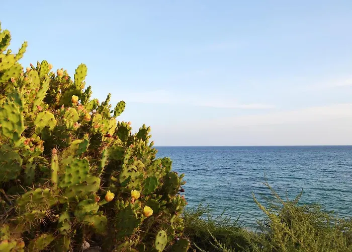 Appartement Sea Top Flat L By Algest